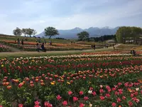 那須フラワーワールドの写真・動画_image_567466