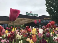 キューケンホフ公園（Keukenhof）の写真・動画_image_567794