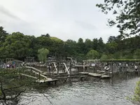 清水公園フィールドアスレチックの写真・動画_image_568515