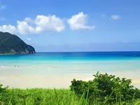 高浜海水浴場の写真・動画_image_568522