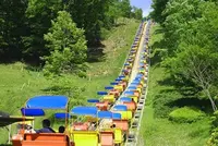 ぐんまこどもの国の写真・動画_image_568535