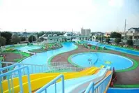 新座市大和田ファミリープールの写真・動画_image_568541