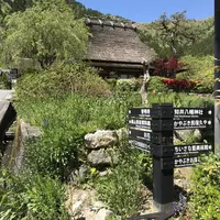 もりしげの写真・動画_image_568593
