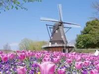 ふなばしアンデルセン公園の写真・動画_image_568936