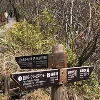 登別地獄谷の写真・動画_image_569133