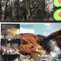 登別地獄谷の写真・動画_image_569139