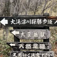 大湯沼川天然足湯の写真・動画_image_569183