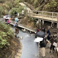 大湯沼川天然足湯の写真・動画_image_569184