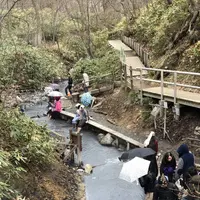 大湯沼川天然足湯の写真・動画_image_569185