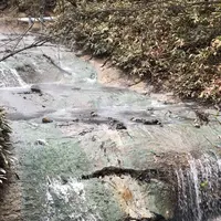 大湯沼川天然足湯の写真・動画_image_569186
