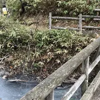 大湯沼川天然足湯の写真・動画_image_569187