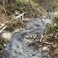 大湯沼川天然足湯の写真・動画_image_569188