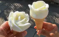 チリンチリン・アイス 前田冷菓の写真・動画_image_569316