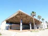 新江ノ島水族館の写真・動画_image_569318