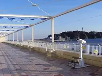 新江ノ島水族館の写真・動画_image_569321