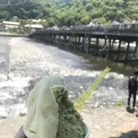 新八茶屋の写真・動画_image_569784