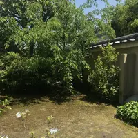 嵐山のむらの写真・動画_image_569796