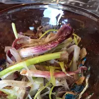 琉宮Ryuguuの写真・動画_image_570139