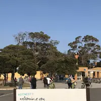 Rottnest Island（ロットネスト島）の写真・動画_image_570309