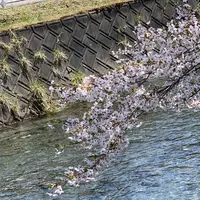 〒052-0101 北海道有珠郡壮瞥町滝之町２４７−５の写真・動画_image_570334