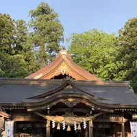 白山比咩神社の写真・動画_image_570801