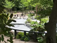 鬼石の湯の写真・動画_image_572493