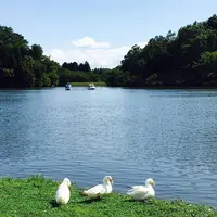 志高湖の写真・動画_image_572633