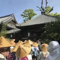 志度寺の写真・動画_image_573977
