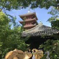 志度寺の写真・動画_image_573979