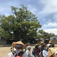 長尾寺の写真・動画_image_573988