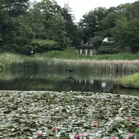 もえぎ野公園の写真・動画_image_574936