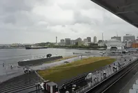 横浜港大さん橋国際客船ターミナル（大さん橋）の写真・動画_image_575289