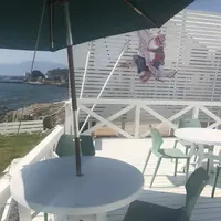 タムタムギャラリーの写真・動画_image_576221