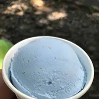 湯沢高原パノラマパーク ロープウェイ／アルプの里の写真・動画_image_576481