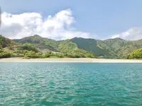 四万十川の写真・動画_image_576840