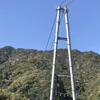 綾の照葉大吊橋の写真・動画_image_577157