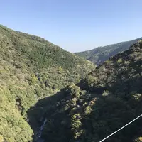 綾の照葉大吊橋の写真・動画_image_577159