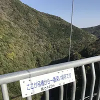 綾の照葉大吊橋の写真・動画_image_577160