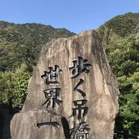 綾の照葉大吊橋の写真・動画_image_577161