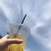 つくばセンター広場の写真・動画_image_577505