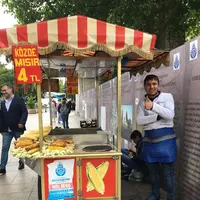 イスタンブルの写真・動画_image_577775