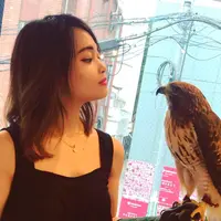 フクロウのお庭の写真・動画_image_578389