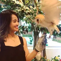 フクロウのお庭の写真・動画_image_578390