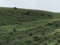 都井岬の写真・動画_image_579138