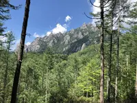 瑞牆山の写真・動画_image_579233