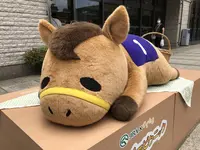 東京競馬場の写真・動画_image_580789