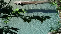 上高地の写真・動画_image_581405