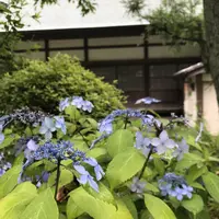 浄妙寺の写真・動画_image_581817