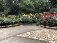 噴水広場の写真・動画_image_582452
