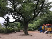 噴水広場の写真・動画_image_582462